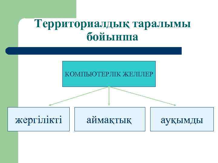 Территориалдық таралымы бойынша КОМПЬЮТЕРЛІК ЖЕЛІЛЕР жергілікті аймақтық ауқымды 