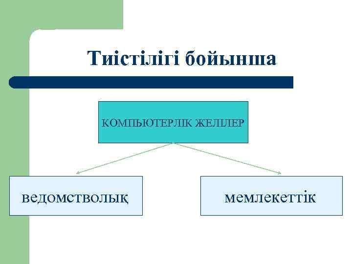 Тиістілігі бойынша КОМПЬЮТЕРЛІК ЖЕЛІЛЕР ведомстволық мемлекеттік 