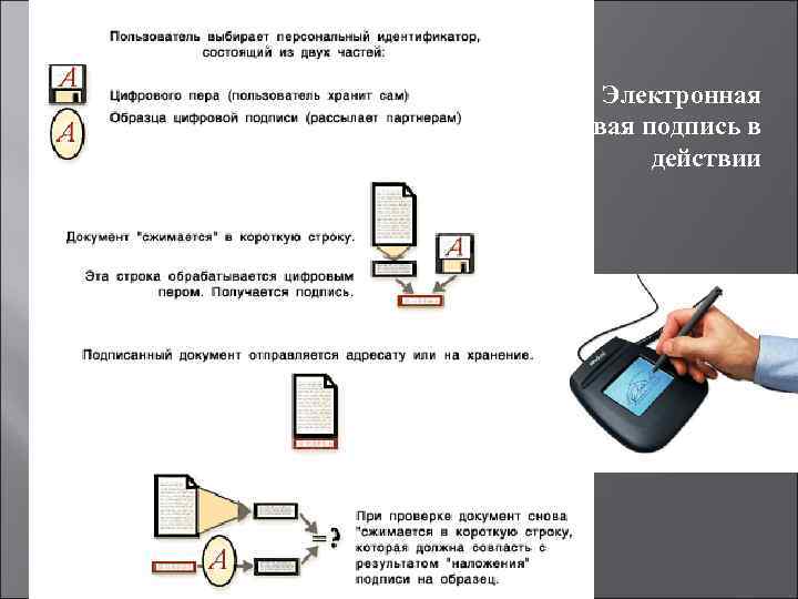 Электронная цифровая подпись в действии 
