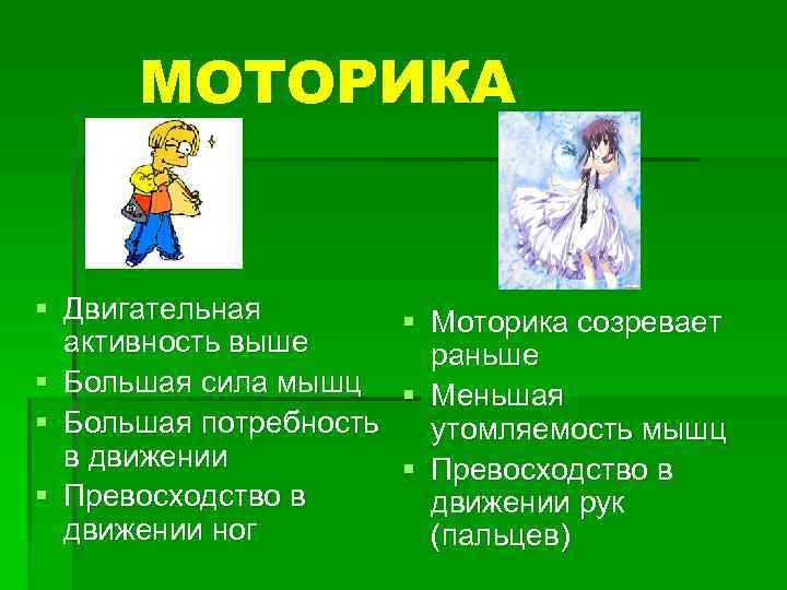 МОТОРИКА § Двигательная активность выше § Большая сила мышц § Большая потребность в движении