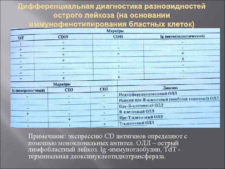 Дифференциальная диагностика разновидностей острого лейкоза (на основании иммунофенотипирования бластных клеток) Примечание: экспрессию CD антигенов