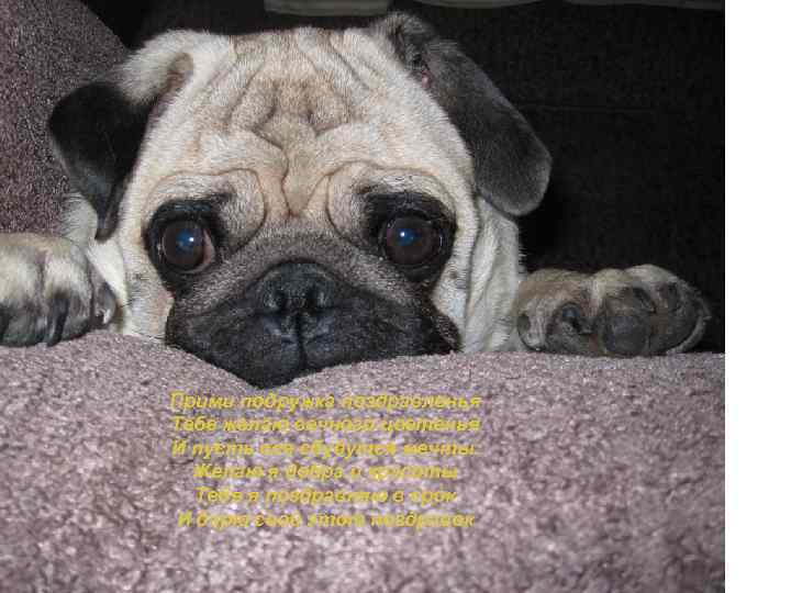 Прими подружка поздравленья Тебе желаю вечного цветенья И пусть все сбудутся мечты. Желаю я