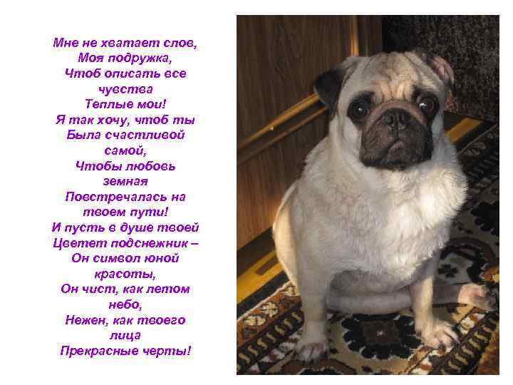 Мне не хватает слов, Моя подружка, Чтоб описать все чувства Теплые мои! Я так