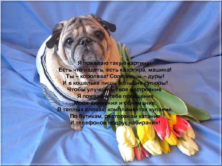 Я пожелаю такую картину: Есть что надеть, есть квартира, машина! Ты – королева! Соперницы