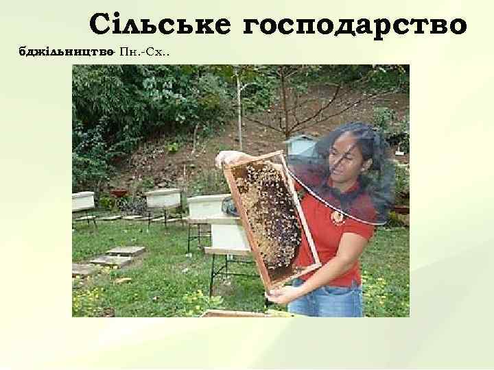 Сільське господарство бджільництво Пн. -Сх. . – 