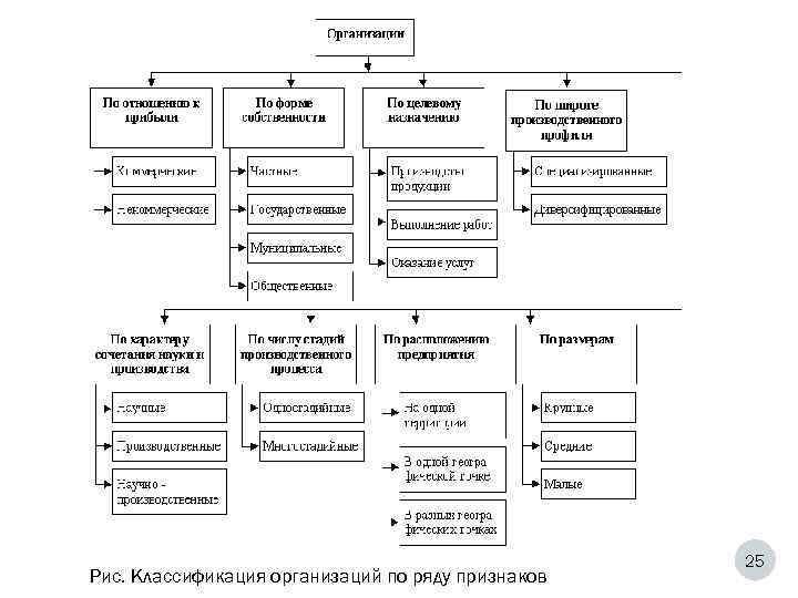 Pис. Классификация организаций по ряду признаков 25 