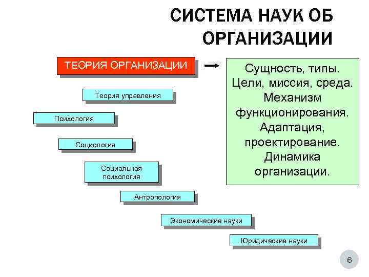 Динамичность организации