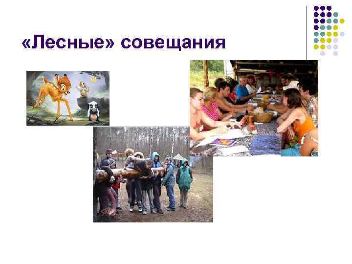  «Лесные» совещания 