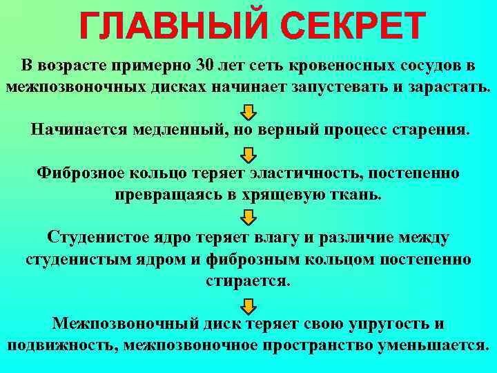 ГЛАВНЫЙ СЕКРЕТ В возрасте примерно 30 лет сеть кровеносных сосудов в межпозвоночных дисках начинает