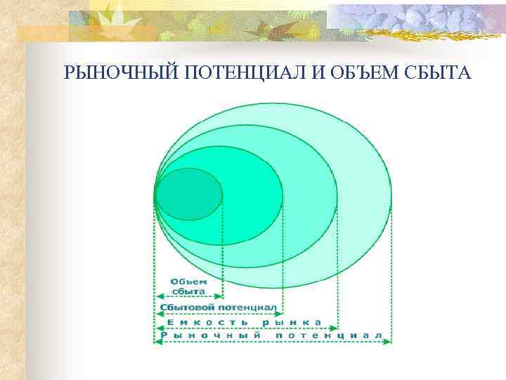 РЫНОЧНЫЙ ПОТЕНЦИАЛ И ОБЪЕМ СБЫТА 