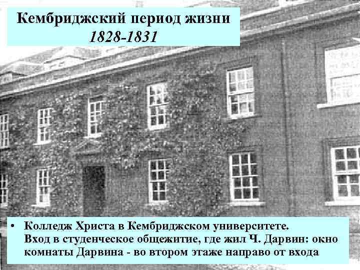 Кембриджский период жизни 1828 -1831 • Колледж Христа в Кембриджском университете. Вход в студенческое