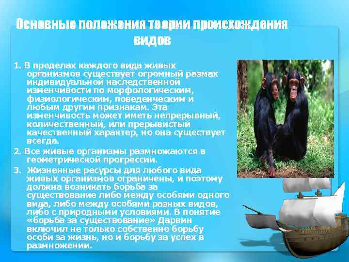 Основные положения теории происхождения видов 1. В пределах каждого вида живых организмов существует огромный