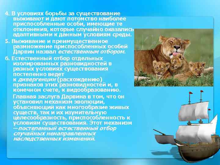4. В условиях борьбы за существование выживают и дают потомство наиболее приспособленные особи, имеющие