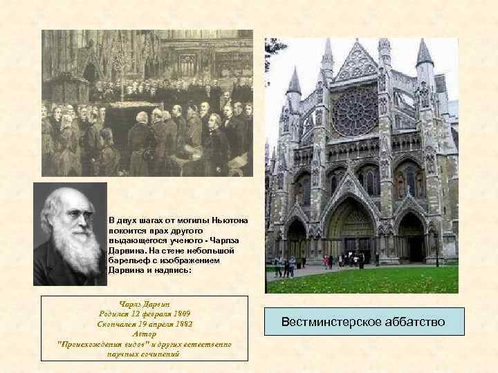 В двух шагах от могилы Ньютона покоится прах другого выдающегося ученого - Чарлза Дарвина.