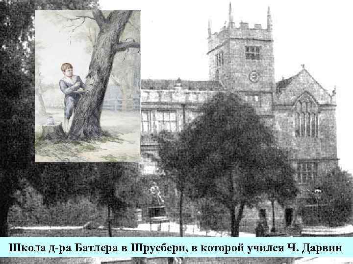 Школа д-ра Батлера в Шрусбери, в которой учился Ч. Дарвин 