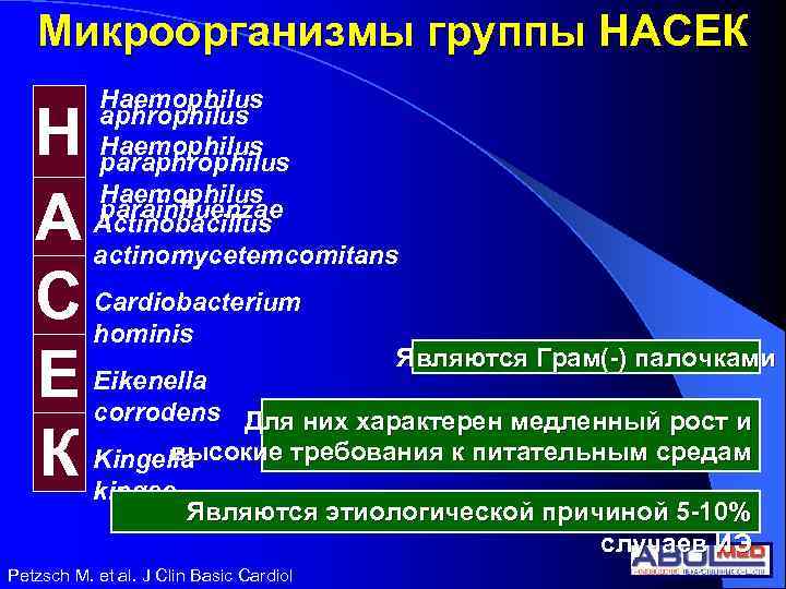 Микроорганизмы группы НАСЕК Н А С Е К Haemophilus aphrophilus Haemophilus parainfluenzae Actinobacillus actinomycetemcomitans