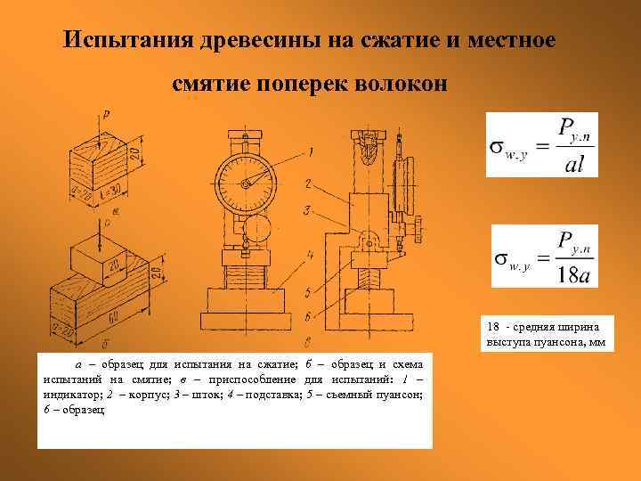 Испытания древесины на сжатие и местное смятие поперек волокон 18 - средняя ширина выступа