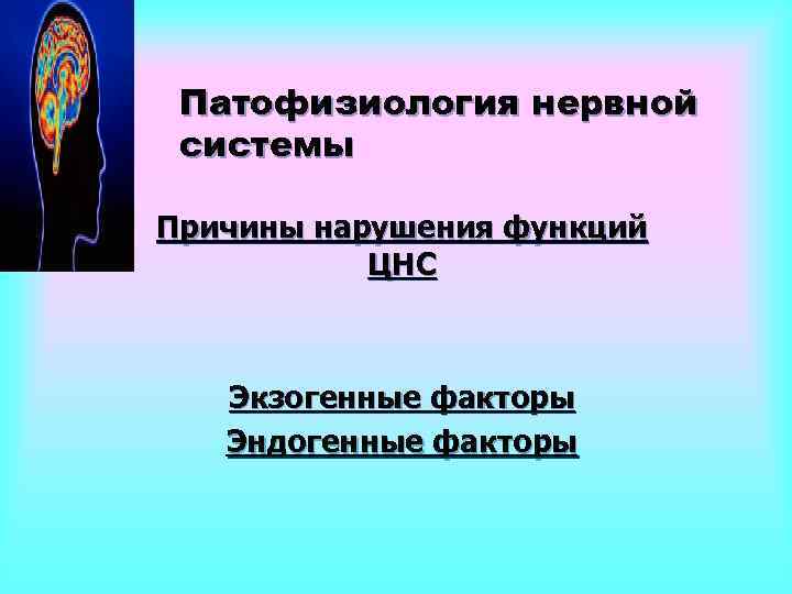 Патофизиология нервной системы Причины нарушения функций ЦНС Экзогенные факторы Эндогенные факторы 