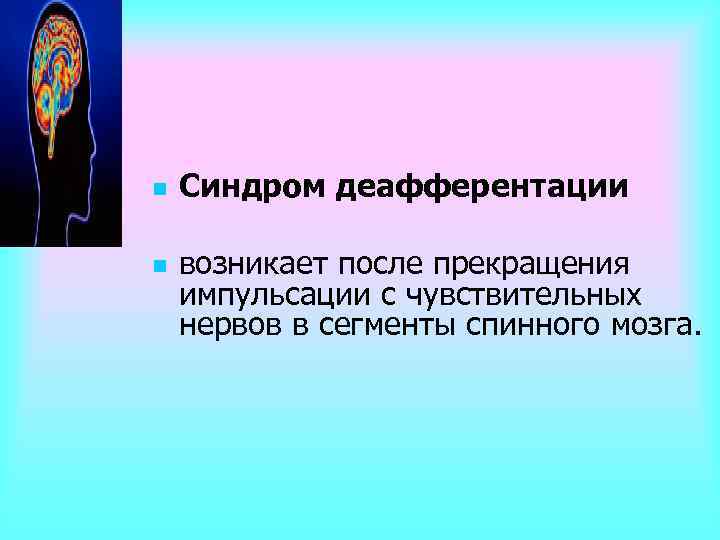 n n Синдром деафферентации возникает после прекращения импульсации с чувствительных нервов в сегменты спинного