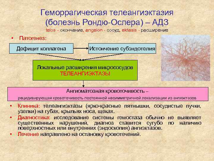 Геморрагическая телеангиэктазия (болезнь Рондю-Ослера) – АДЗ telos - окончание, angeion - сосуд, ektasis -