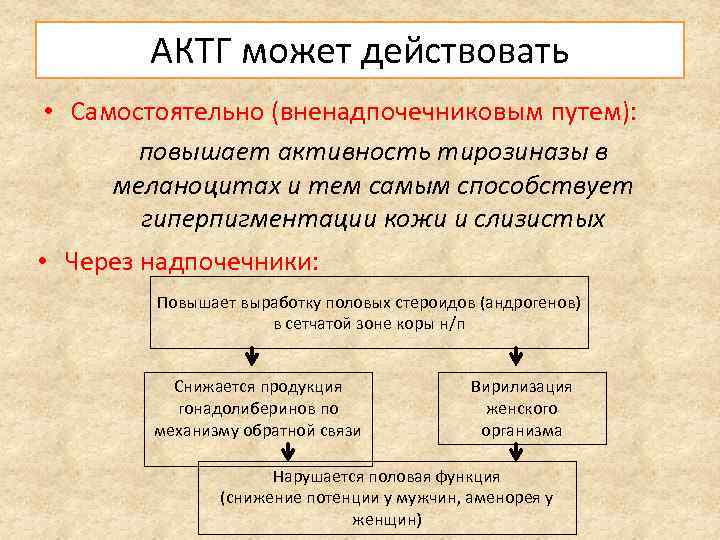 АКТГ может действовать • Самостоятельно (вненадпочечниковым путем): повышает активность тирозиназы в меланоцитах и тем