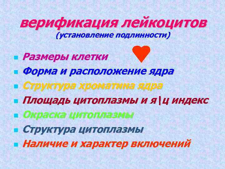 верификация лейкоцитов (установление подлинности) Размеры клетки Форма и расположение ядра Структура хроматина ядра Площадь