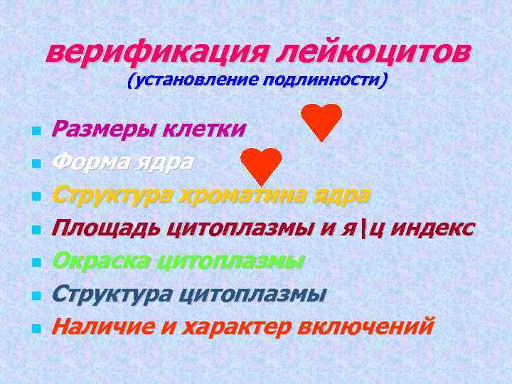 верификация лейкоцитов (установление подлинности) Размеры клетки Форма ядра Структура хроматина ядра Площадь цитоплазмы и