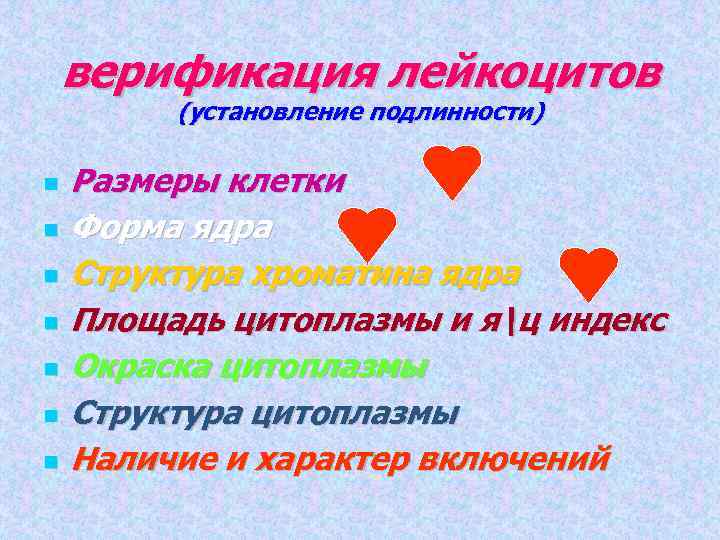 верификация лейкоцитов (установление подлинности) Размеры клетки Форма ядра Структура хроматина ядра Площадь цитоплазмы и