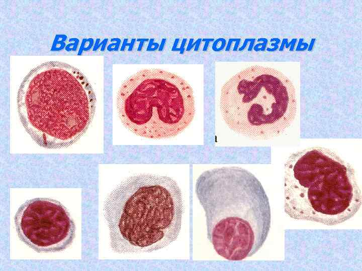 Схема образования дезоксицитидина