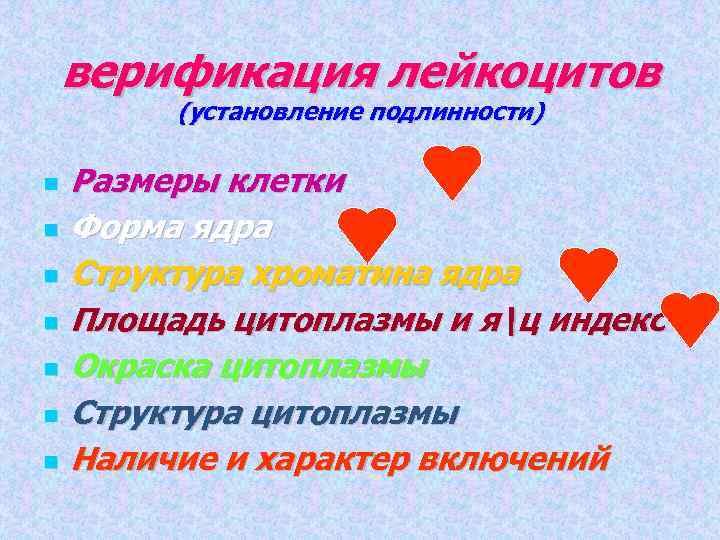 верификация лейкоцитов (установление подлинности) Размеры клетки Форма ядра Структура хроматина ядра Площадь цитоплазмы и