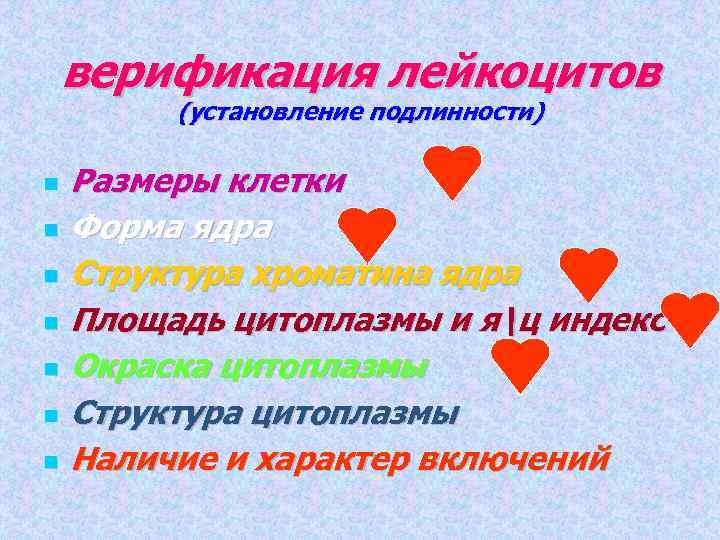 верификация лейкоцитов (установление подлинности) Размеры клетки Форма ядра Структура хроматина ядра Площадь цитоплазмы и