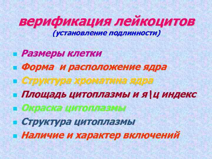 верификация лейкоцитов (установление подлинности) Размеры клетки Форма и расположение ядра Структура хроматина ядра Площадь
