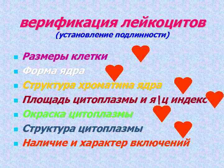 верификация лейкоцитов (установление подлинности) Размеры клетки Форма ядра Структура хроматина ядра Площадь цитоплазмы и