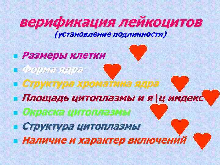 верификация лейкоцитов (установление подлинности) Размеры клетки Форма ядра Структура хроматина ядра Площадь цитоплазмы и