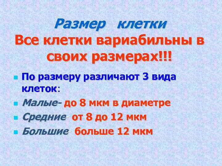 Размер клетки Все клетки вариабильны в своих размерах!!! По размеру различают 3 вида клеток: