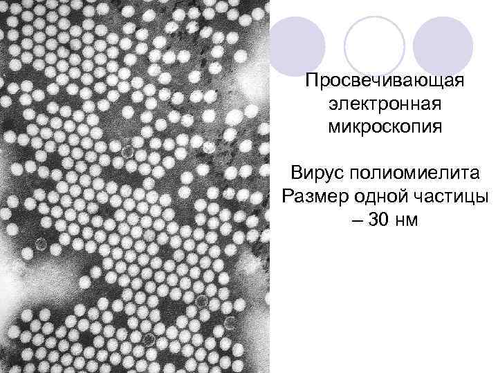 Почему в микроскопах изображение может получиться размытым