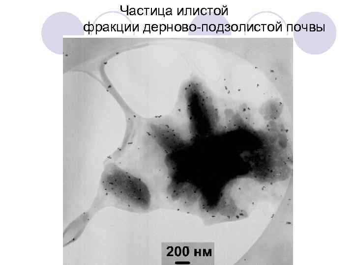 Частица илистой фракции дерново-подзолистой почвы 