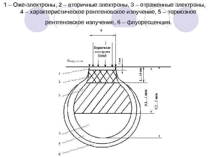 1 – Оже-электроны, 2 – вторичные электроны, 3 – отраженные электроны, 4 – характеристическое