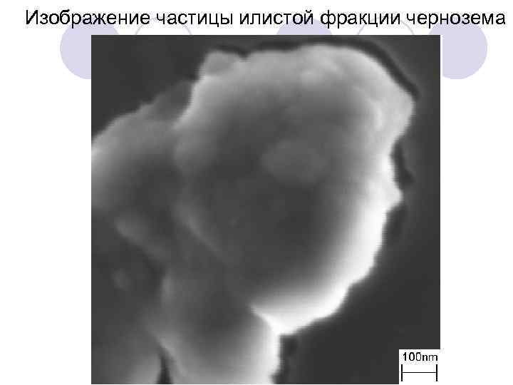 Изображение частицы илистой фракции чернозема 