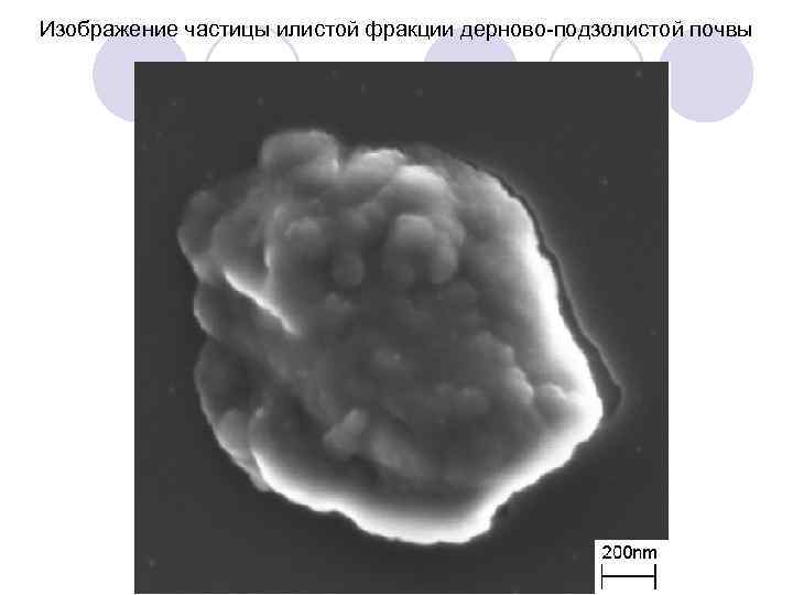 Изображение частицы илистой фракции дерново-подзолистой почвы 