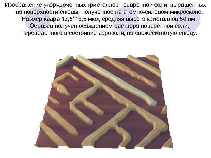 Изображение упорядоченных кристаллов поваренной соли, выращенных на поверхности слюды, полученное на атомно силовом микроскопе.