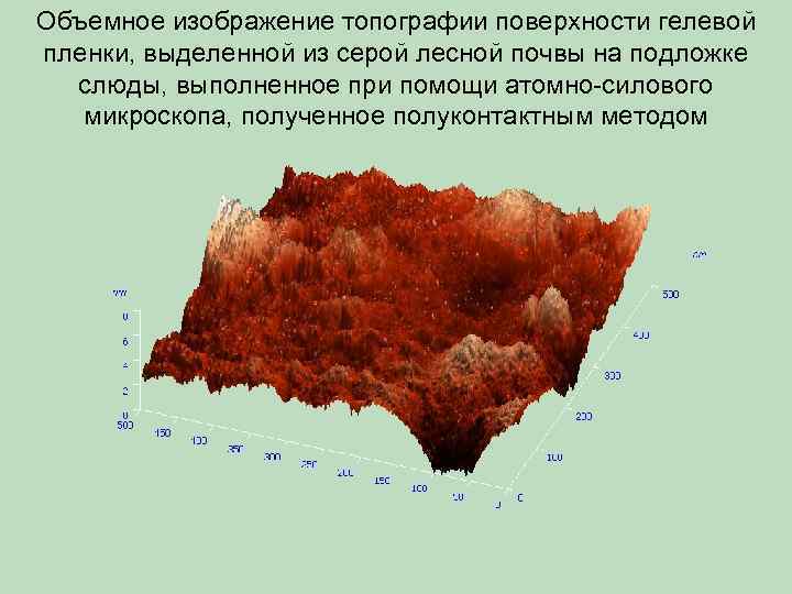 Объемное изображение топографии поверхности гелевой пленки, выделенной из серой лесной почвы на подложке слюды,