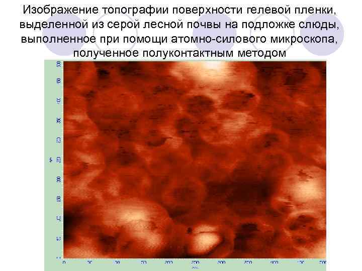 Изображение топографии поверхности гелевой пленки, выделенной из серой лесной почвы на подложке слюды, выполненное