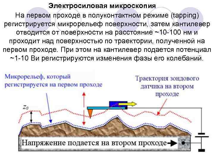 Электросиловая микроскопия На первом проходе в полуконтактном режиме (tapping) регистрируется микрорельеф поверхности, затем кантилевер