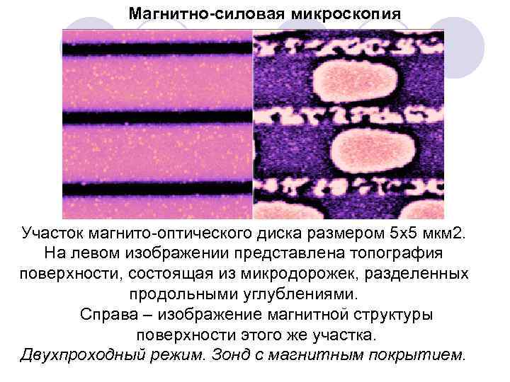 Магнитно-силовая микроскопия Участок магнито оптического диска размером 5 х5 мкм 2. На левом изображении