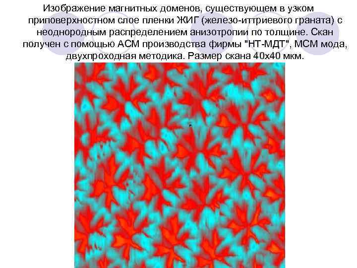 Изображение магнитных доменов, существующем в узком приповерхностном слое пленки ЖИГ (железо иттриевого граната) с