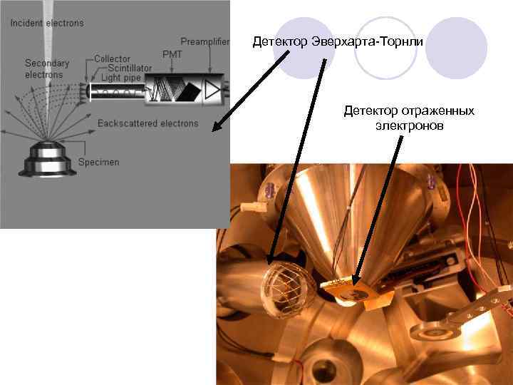 Детектор Эверхарта Торнли Детектор отраженных электронов 