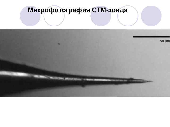 Микрофотография СТМ-зонда 