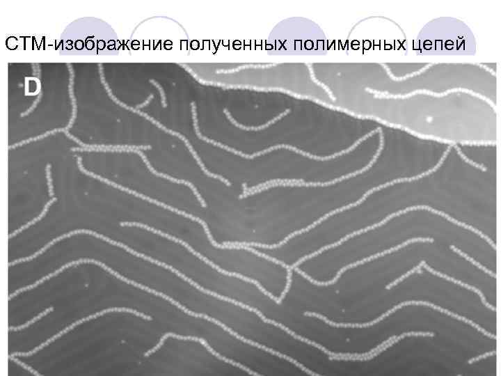 СТМ изображение полученных полимерных цепей 