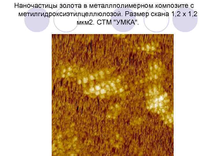 Наночастицы золота в металлполимерном композите с метилгидроксиэтилцеллюлозой. Размер скана 1, 2 х 1, 2